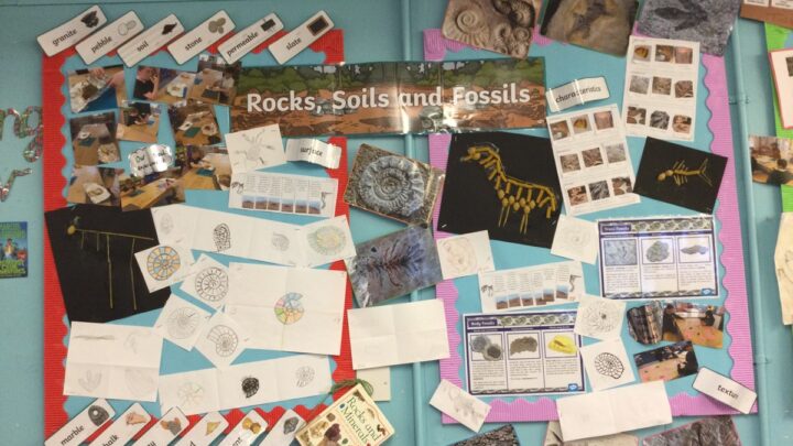 Featured image for Science – Rocks and Fossils