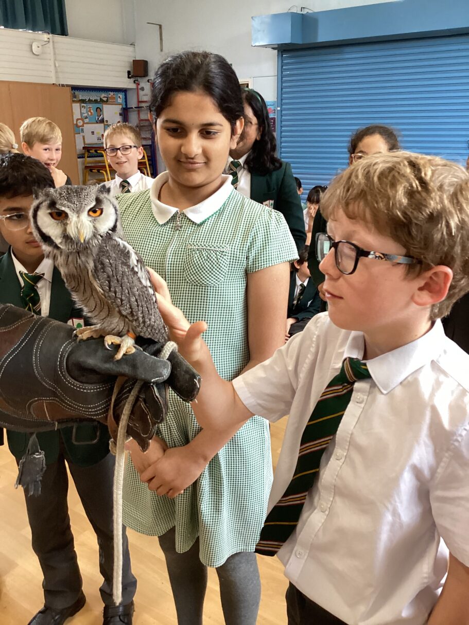 Header image for Amazing Animals! – Year 5 and 6